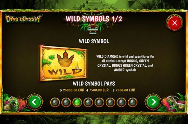 Wild Symbol Rules