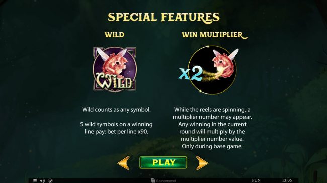 Wild Symbol Rules