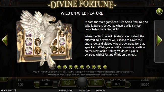 Wild on Wild Feature - In both the main game and Free Spins, the Wild on Wild feature is activated when a wild symbol lands behind a Falling Wild.
