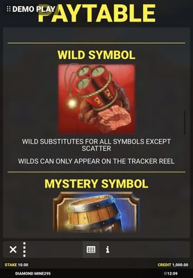 Wild Symbol