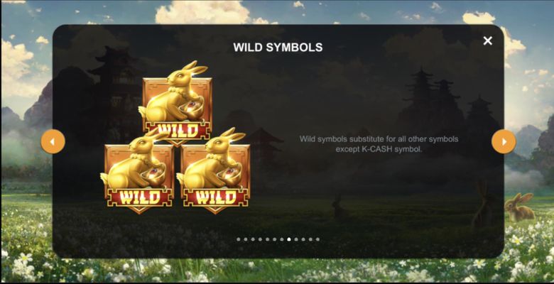 Wild Symbol