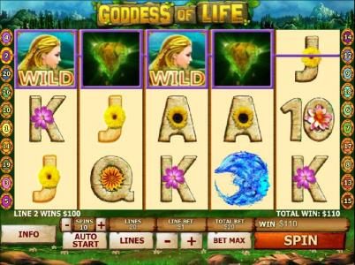 multiple winning paylines triggers a $110 jackpot