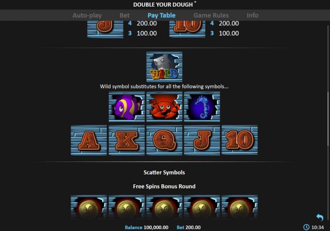 Wild Symbol Rules