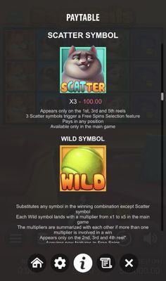 Wild and Scatter Rules