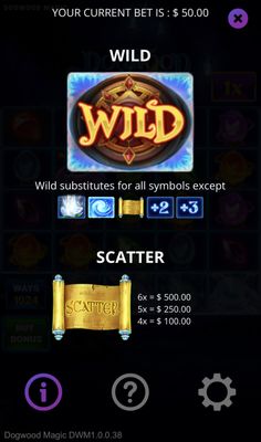 Wild and Scatter Rules