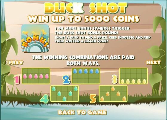 Three or more bonus symbols trigger the Duck Shot Bonus Round! Shoot a duck to find a prize.