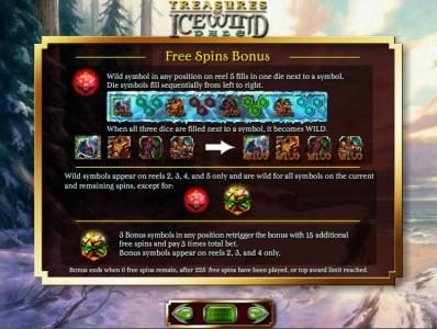 free spins bonus feature rules