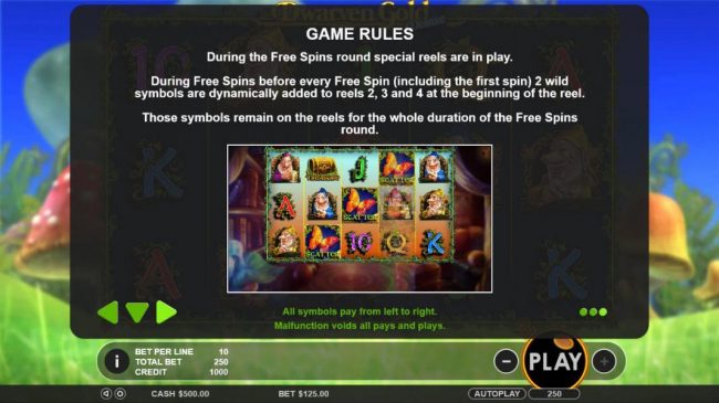 Game Rules - During free spins round special reels are in play. During free spins before every free spin 2 wild symbols are dynamically added to reels 2, 3 and 4 at the beginning of the reel.