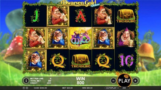Multiple winning paylines triggers a 800 coin big win!