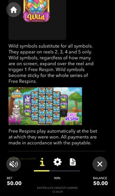 Wild Symbol