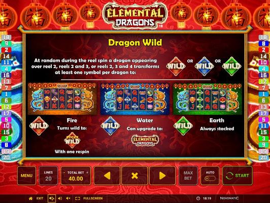 Elemental Dragons :: Dragon Wild