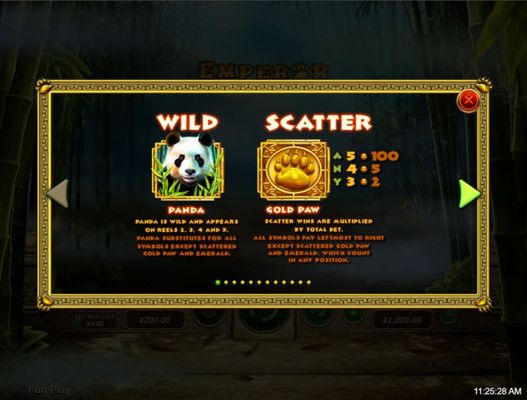 Wild Symbol Rules
