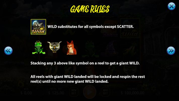 Wild Symbols Rules