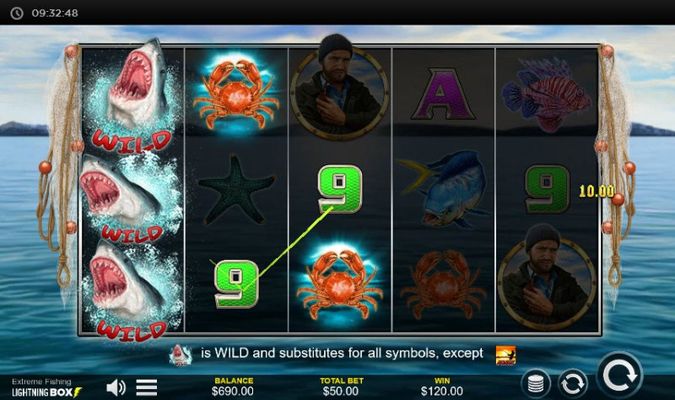 Multiple winning paylines