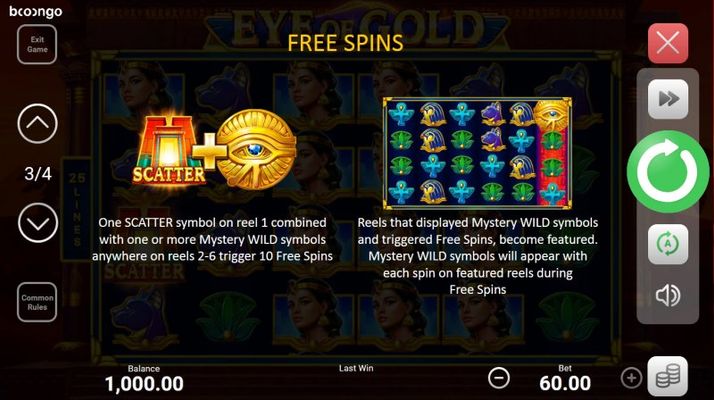 Free Spin Feature Rules