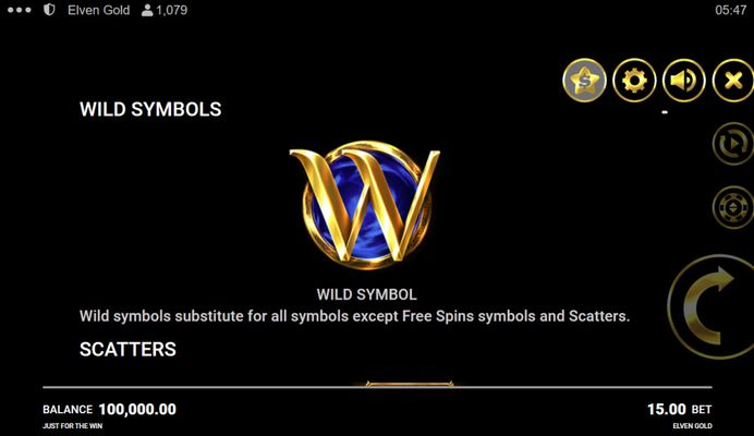 Wild Symbol