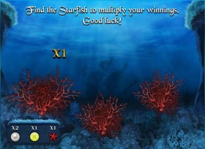 round three of the bonus feature - find the starfish