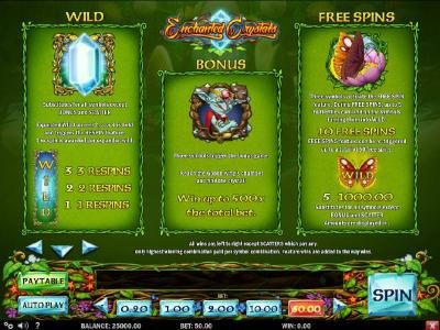 Wild symbol, Bonus symbol and Free Spin symbol rules and paytables.