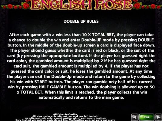 Double Up Gamble Feature Rules