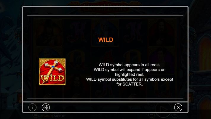 Wild Symbol