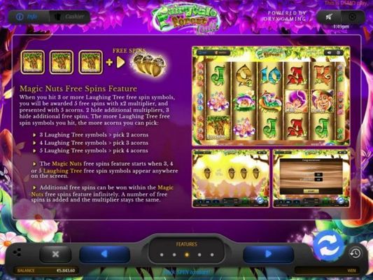 Magic Nuts Free Spins Feature Rules