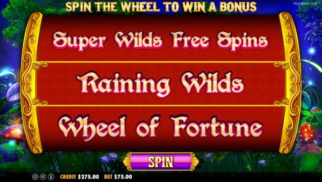Spin the wheel to win a bonus