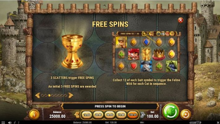 Free Spins Rules