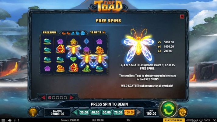 Free Spin Feature Rules