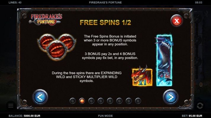 Free Spin Feature Rules