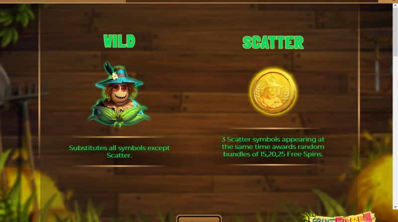 Wild and Scatter Rules