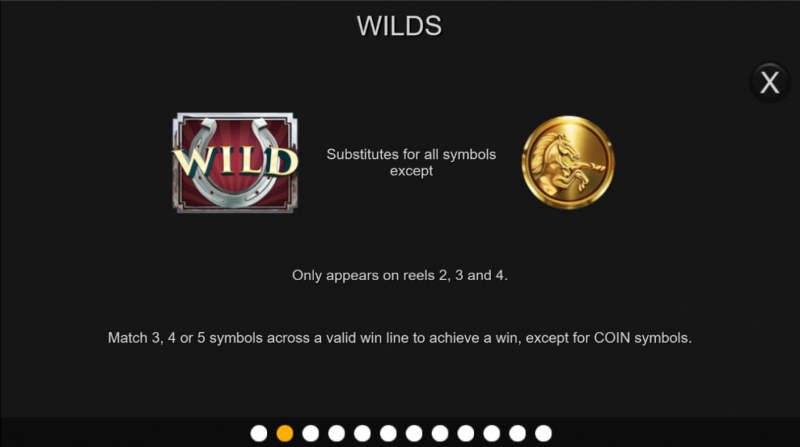 Wild Symbol Rules