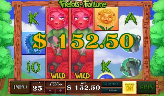 Red Rose expanded wilds on reels 2 and 3 awards a 152.50 payout.