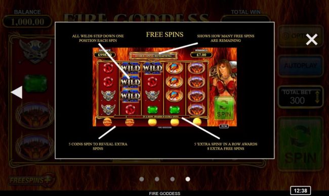 Free Spins Rules