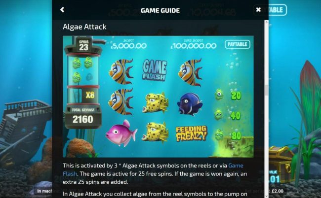 Algae Attack Game Rules