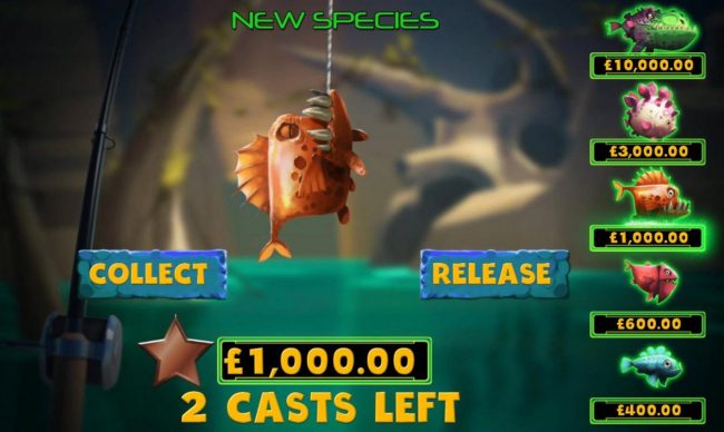 You can collect the prize or release for another try at a bigger win