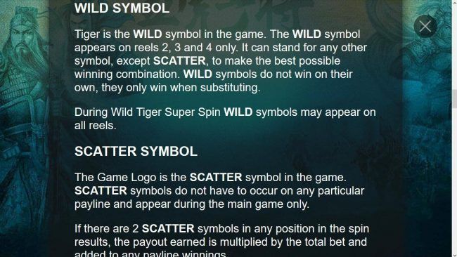 Wild Symbol Game Rules