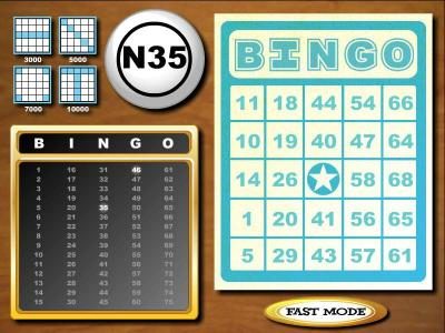 bingo bonus feature game board
