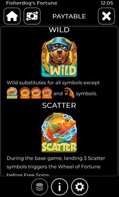 Wild and Scatter Rules