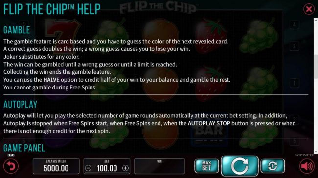 Double Up Gamble Feature Rules