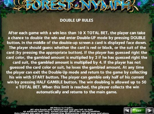 Double Up Gamble Feature Rules