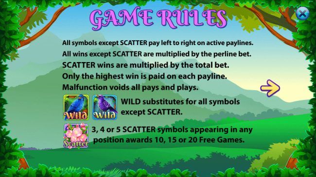 Wild and Scatter Symbol Rules