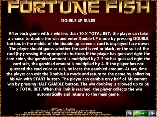 Double Up Gamble Feature Rules