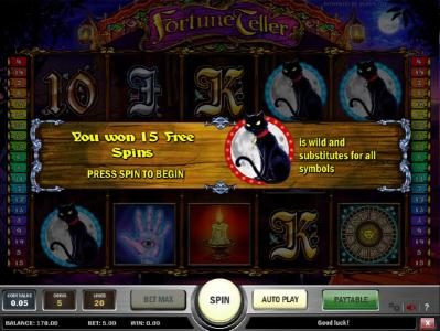 three balck cat symbols triggers 15 free spins