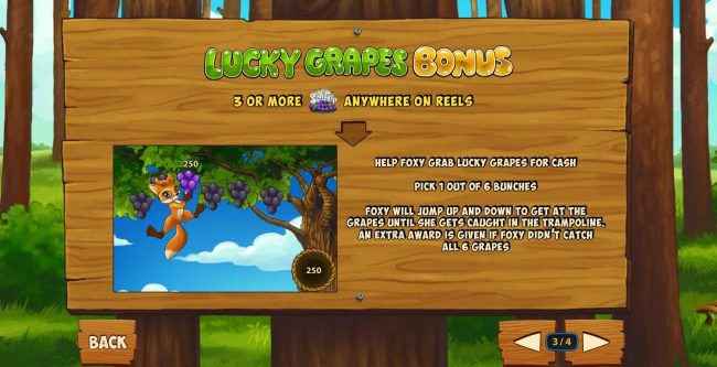 Lucky Grapes Bonus Rules