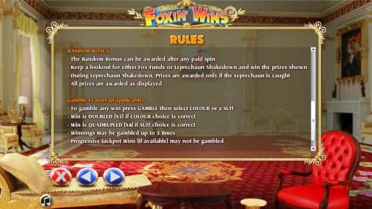 random bonus and gamble feature rules