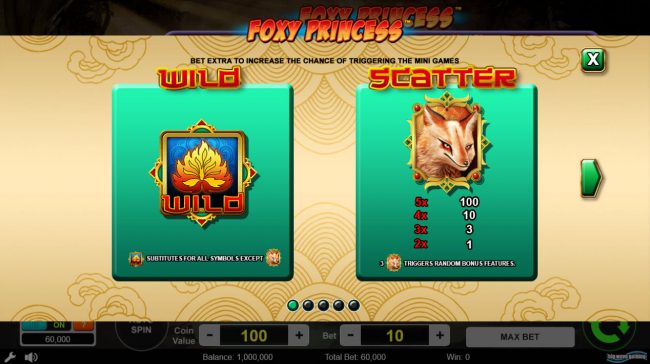 Wild and Scatter Symbol Rules