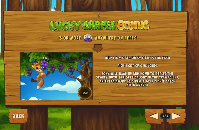 Lucky Grapes Bonus Rules