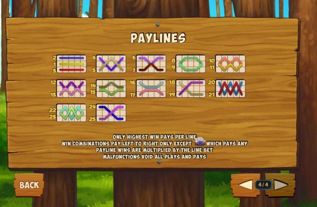 Payline Diagrams 1-25. Only highest win pays per line. Win combinations pay left to right only except scatter which pays any.