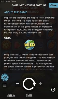 Wild Symbol