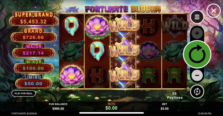 Multiple winning paylines